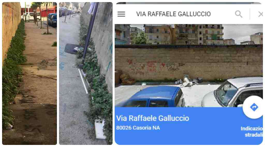 I cittadini segnalano. Via Raffaele Galluccio. Erbacce e rifiuti lungo la strada.