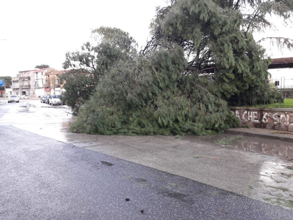 Vento e pioggia, gravi danni al parco di Arpino-Cittadella e a Casoria centro