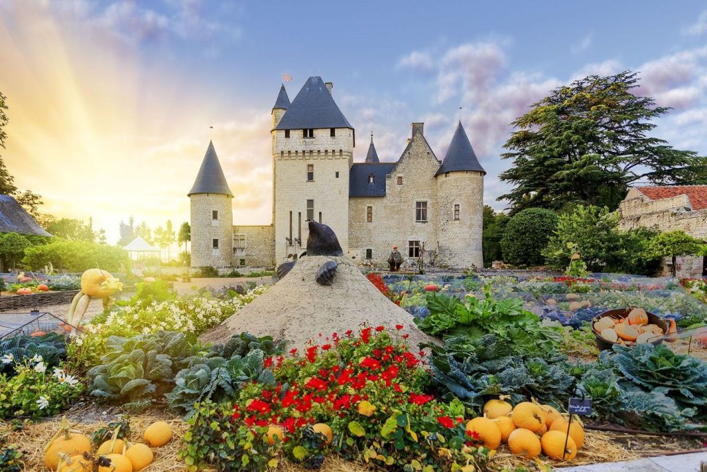 Un viaggio da Re e Regine nei castelli reali della Valle della Loira